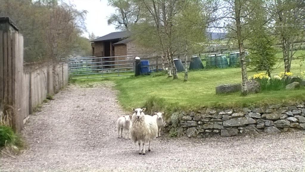 Stronavaich Cairngorm Guest House Tomintoul Luaran gambar